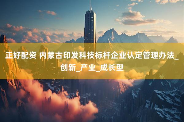 正好配资 内蒙古印发科技标杆企业认定管理办法_创新_产业_成长型