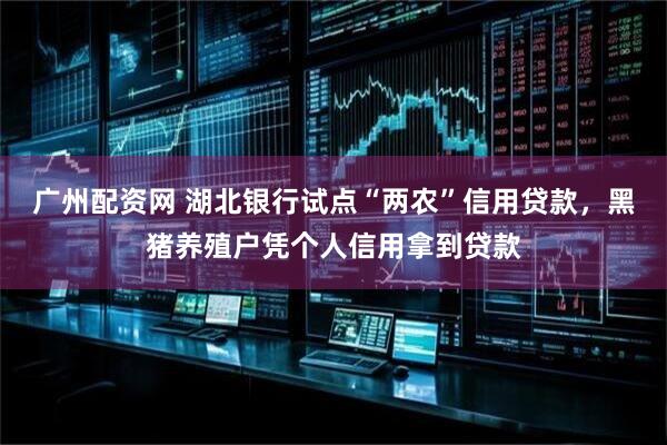 广州配资网 湖北银行试点“两农”信用贷款，黑猪养殖户凭个人信用拿到贷款