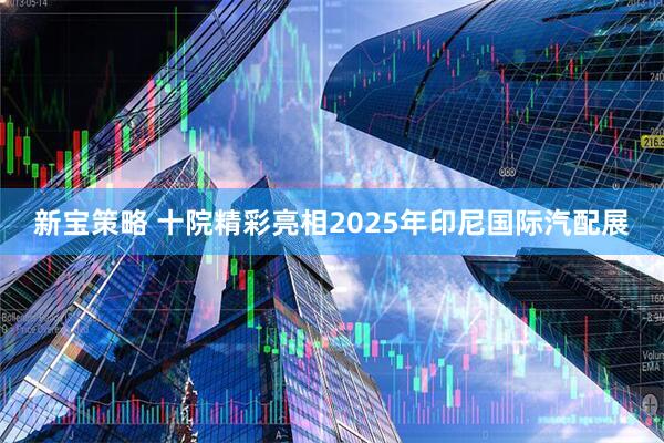新宝策略 十院精彩亮相2025年印尼国际汽配展