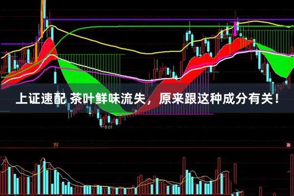 上证速配 茶叶鲜味流失，原来跟这种成分有关！