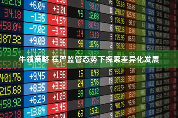 牛领策略 在严监管态势下探索差异化发展
