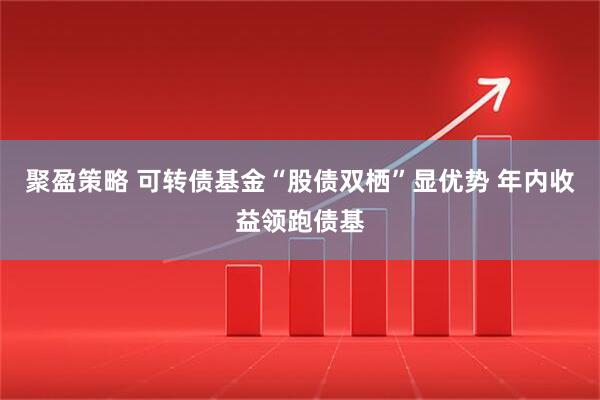 聚盈策略 可转债基金“股债双栖”显优势 年内收益领跑债基